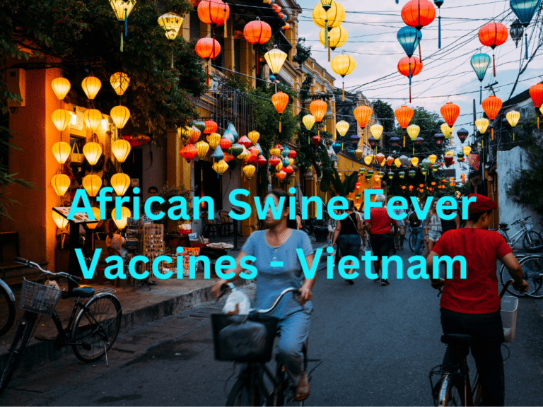 Vietnam approves commercial use of first African swine fever vaccines